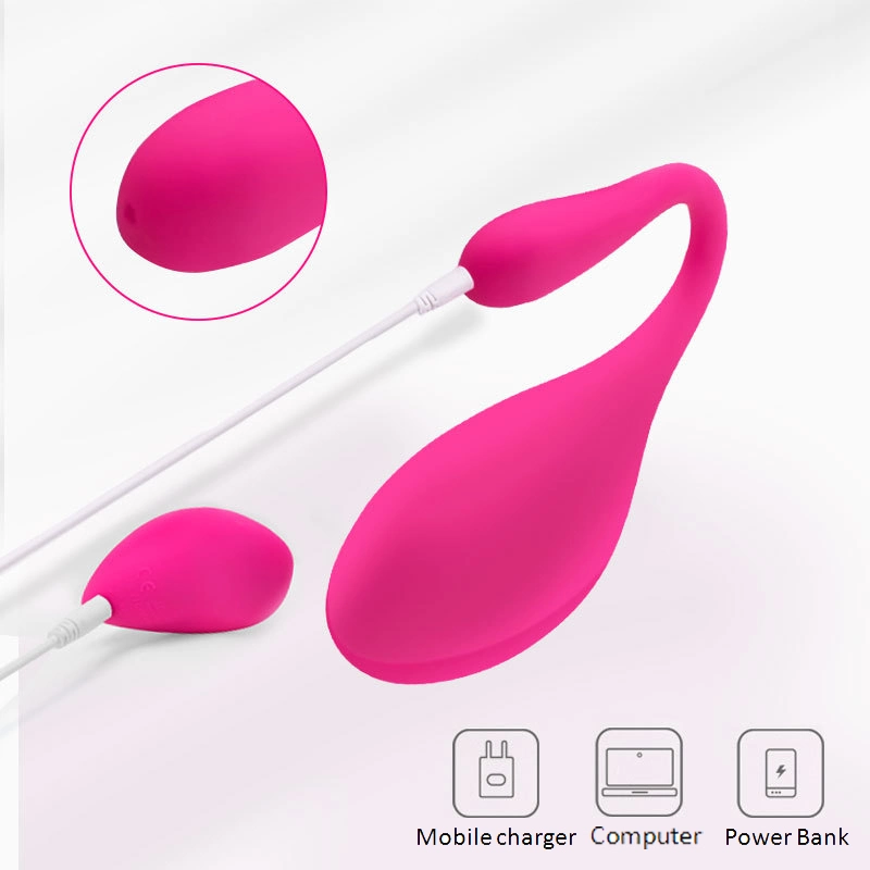 G Spot Vibrator Sex Toy Nipple Clitoral Anal Stimulator, Remote Control Love Egg/Vibrating Egg with USB Rechargeable and 10 Modes, Liquid Silicone Massager,